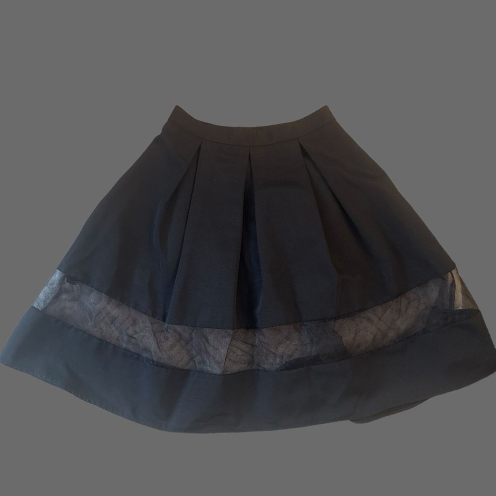 Elegant Black Pleated Skirt with sheer panel